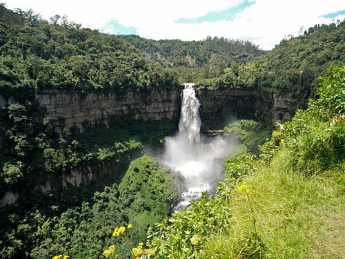 Water Ecosystems in Colombia habitat virtual field trips