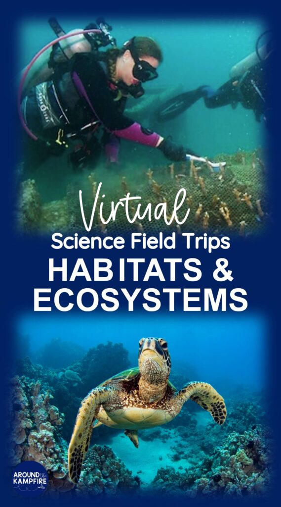 habitat virtual field trips