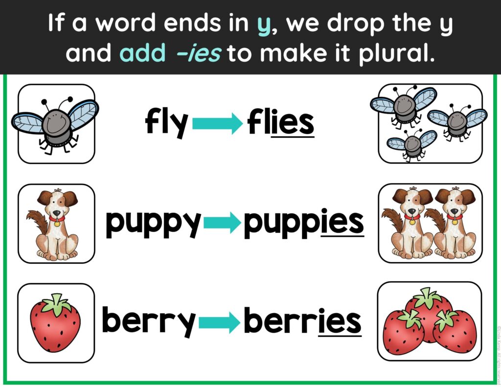 plural nouns rules chart poster drop y add -ies