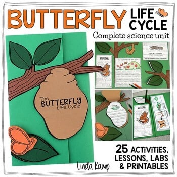 Butterfly Life Cycle Science Unit