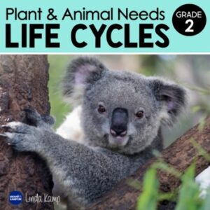Plant and Animal Needs Life Cycles Grade 2 science unit cover page.