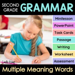 cover of a multiple meaning words lesson plans for 2nd grade