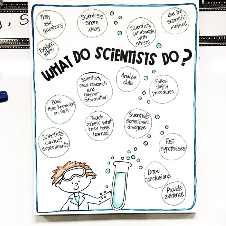 What is Science? Activities to Introduce Science in Your Elementary ...