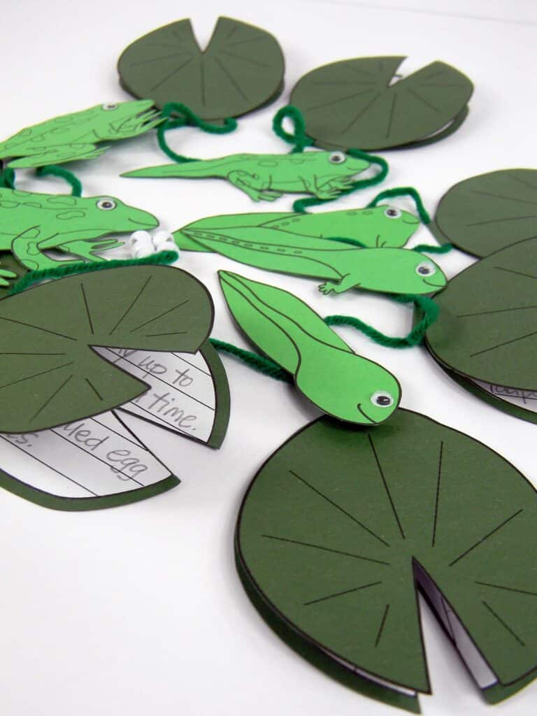 Frog life cycle writing craft with green lily pad bookets to write about each stage inside.