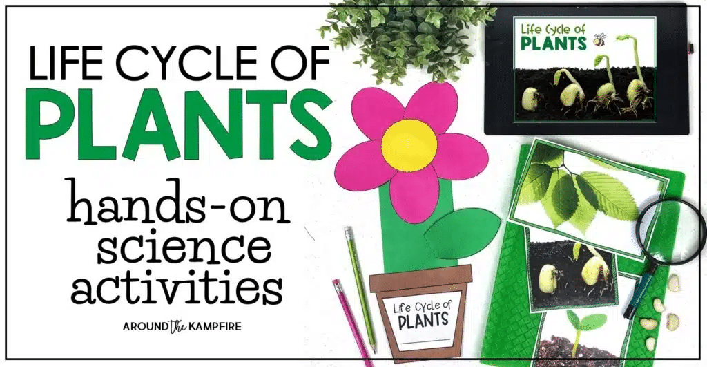 Life Cycle of Plants Hands-on science activities cover picture.