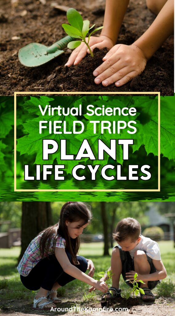 Kids planting seeds in an article about plant life cycle 2nd grade science virtual field trip videos.