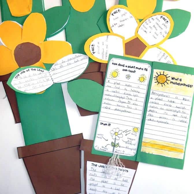 Yellow flower shaped foldable booklet.