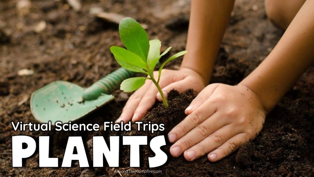 Child planting seeds in an article about plant life cycle 2nd grade science virtual field trip videos.