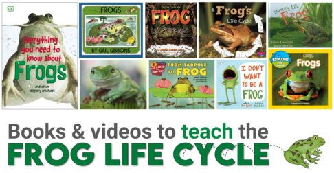 A collection of frog life cycle books and videos.