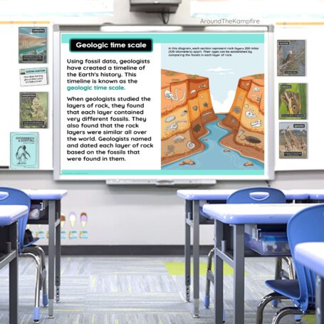 3rd Grade Fossil Record Activities & Fossil Evidence Lesson Plans ...