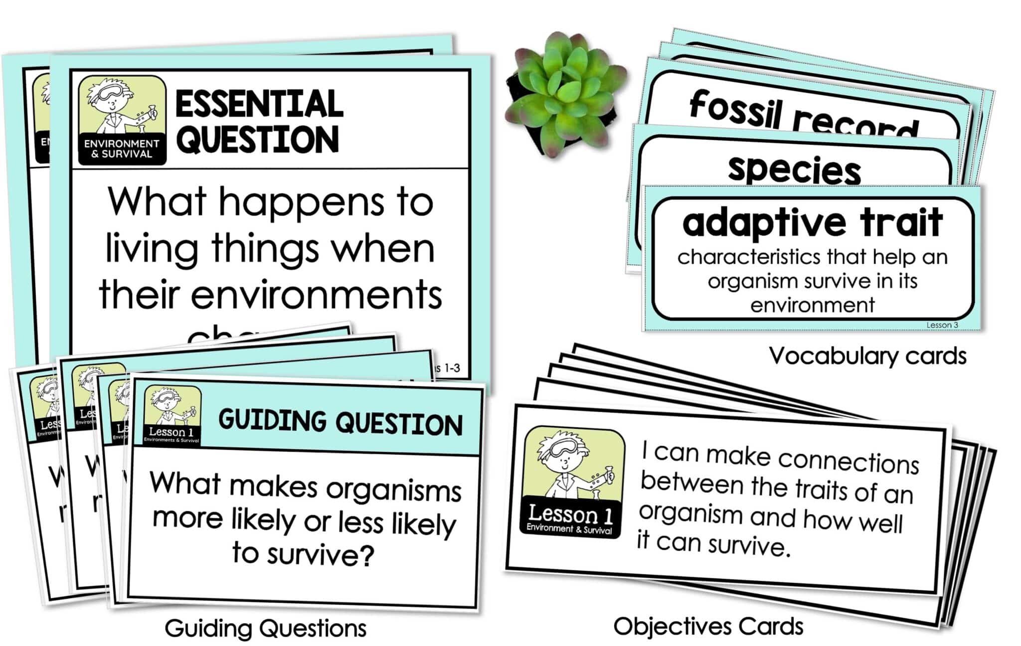 Ultimate Science Curriculum Bundle - Around the Kampfire