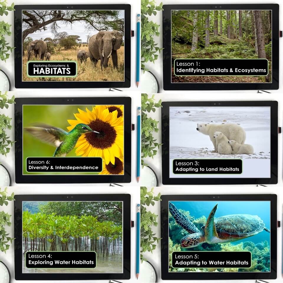 Teaching Slides