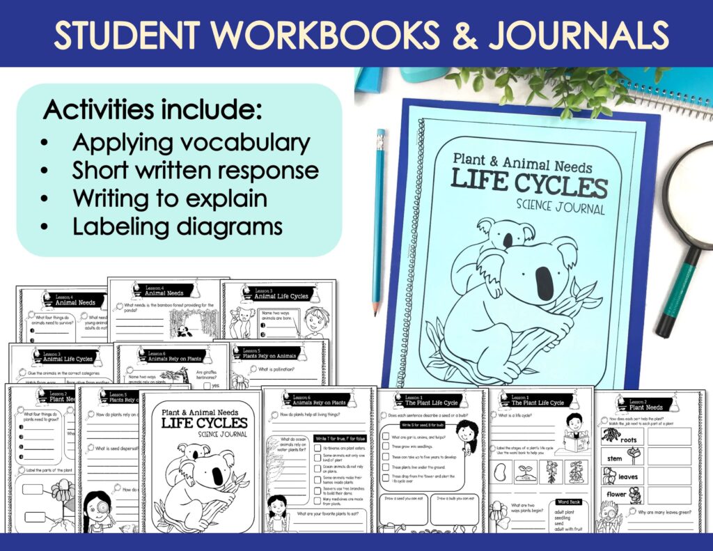 2nd grade bundle preview 5