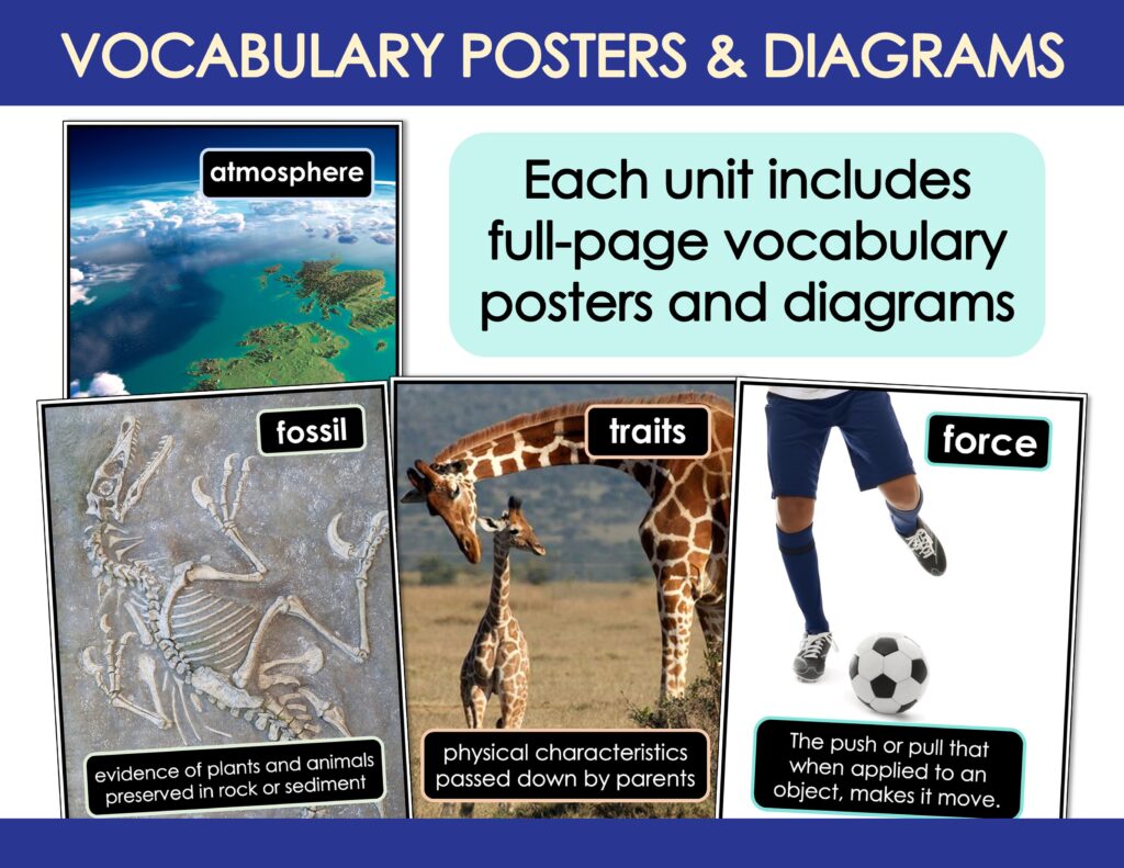 Slide13