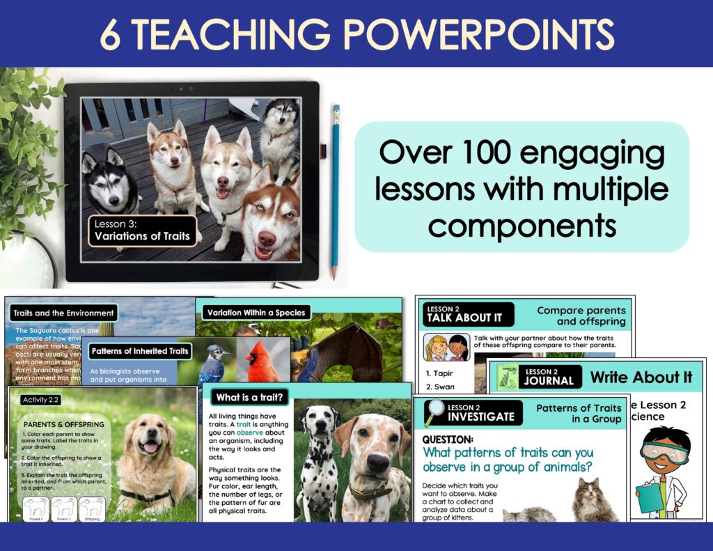 Slide3