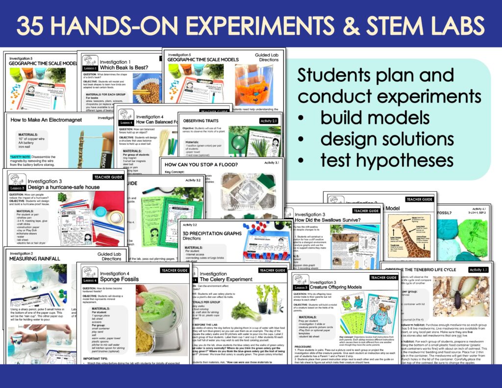 Slide4