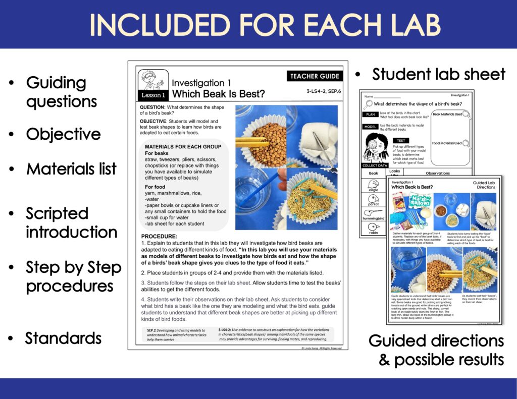 Slide6