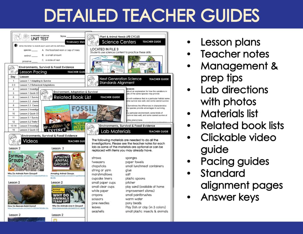 Slide8