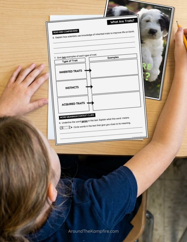 graphic organizers scaffold nonfiction passages