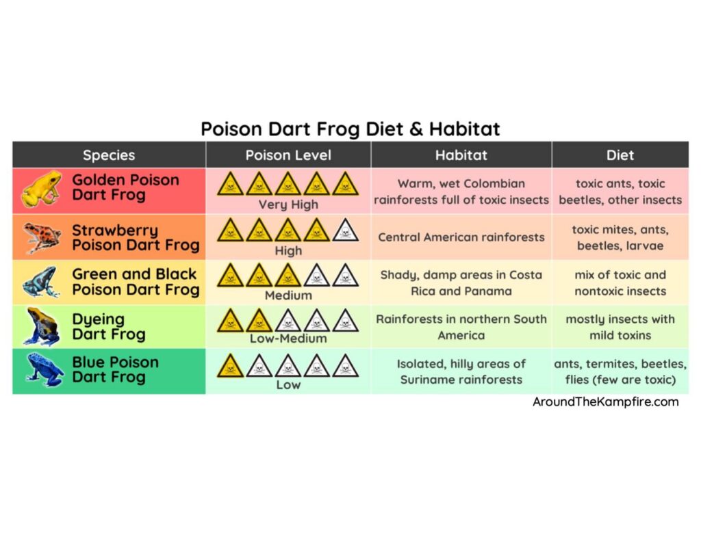 poison frog chart nonfiction text features 3rd grade