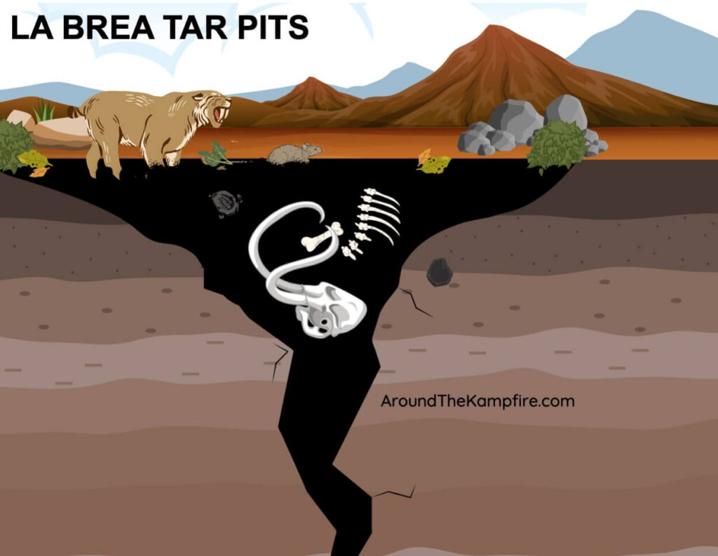 la brea tar pits fossils science phenomena for elementary students